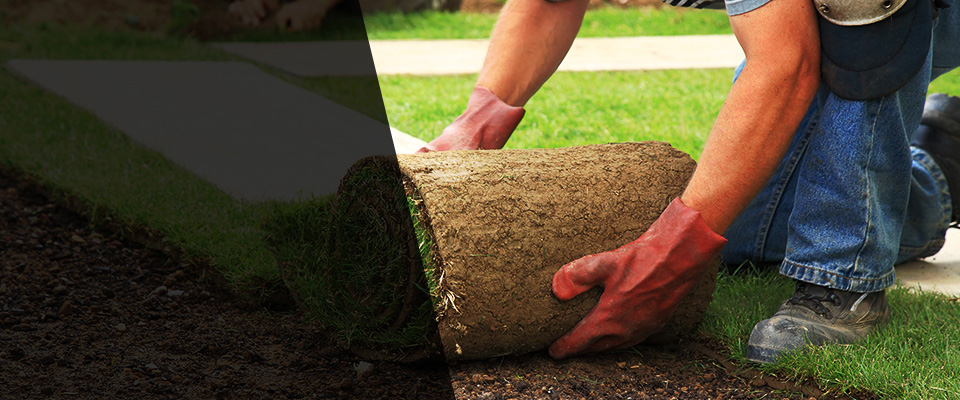 Flourtown Landscapers